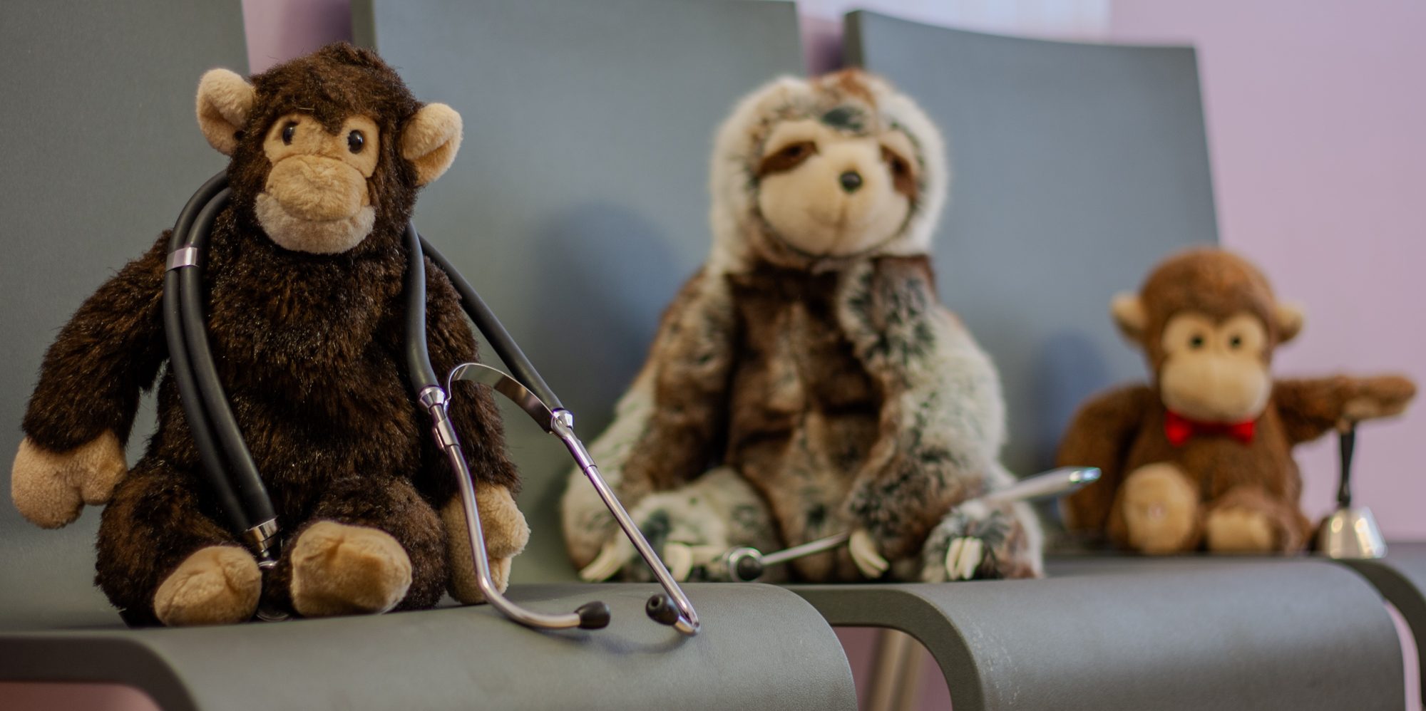 Kuscheltiere mit Stethoskop begrüßen die kleinen Patienten im Wartebereich